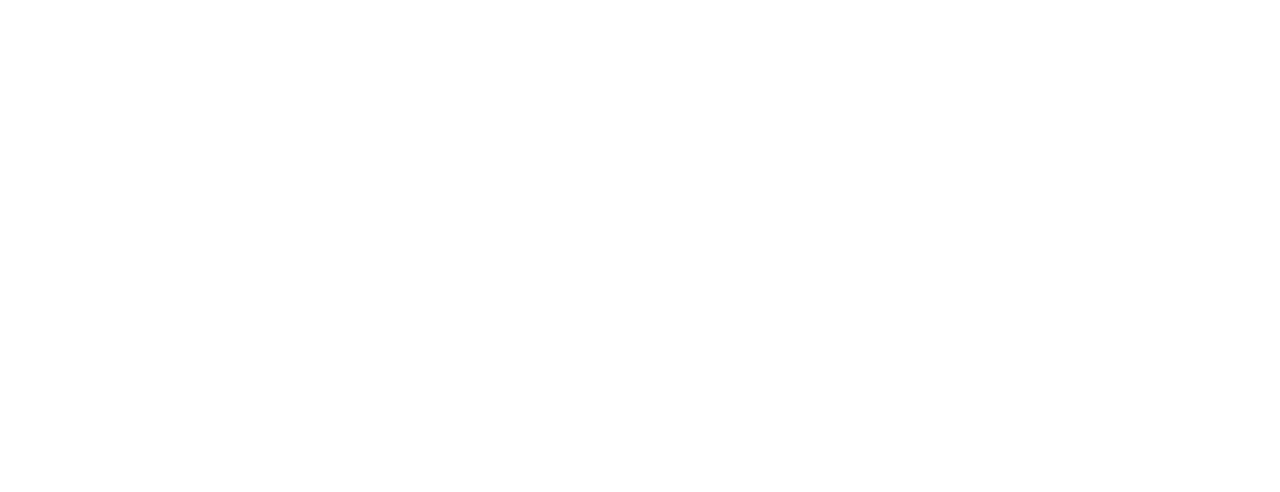 Logo del film